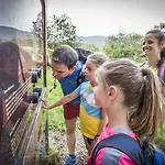 Relais&châteaux Gut Steinbach 4*
